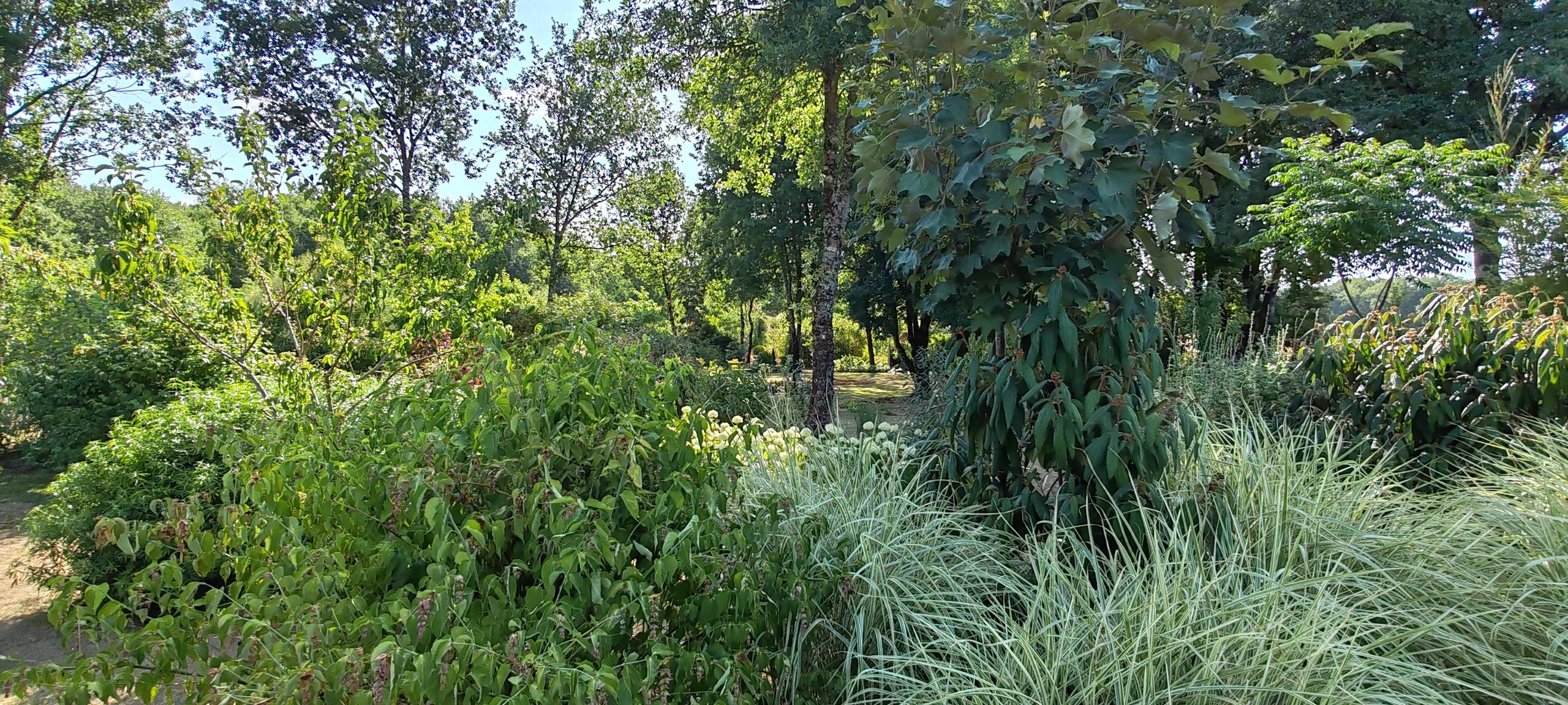 Atelier Greffe au jardin Parfum d'Asie