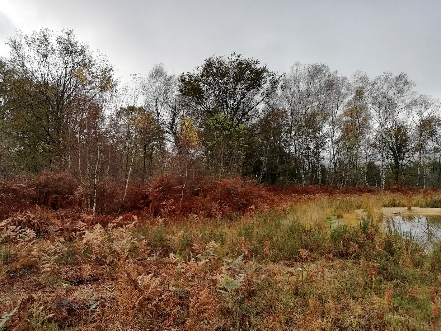 Chantier participatif autour des mares