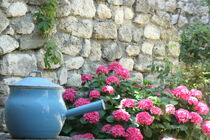 Intérieur village La Garde-Adhémar