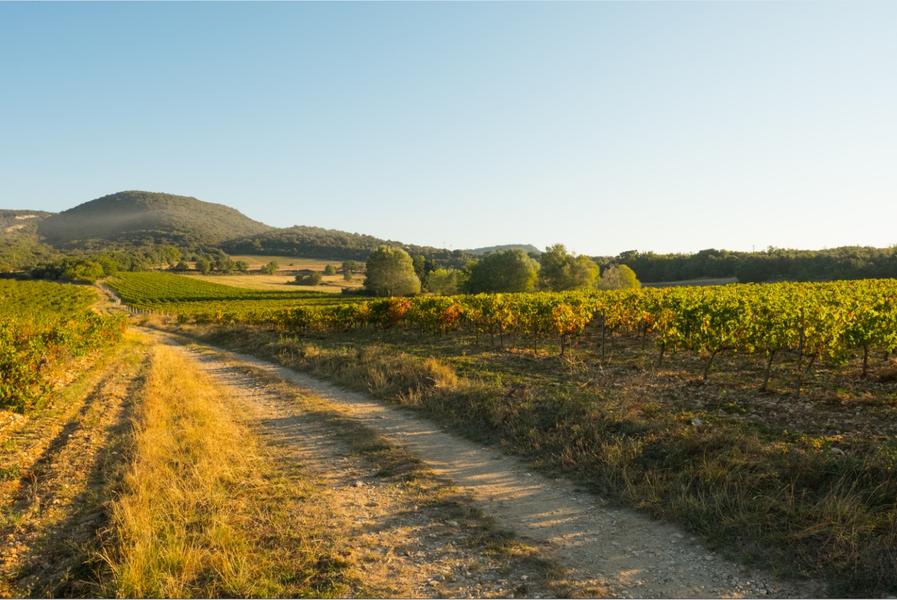 Domaine de Grangeneuve