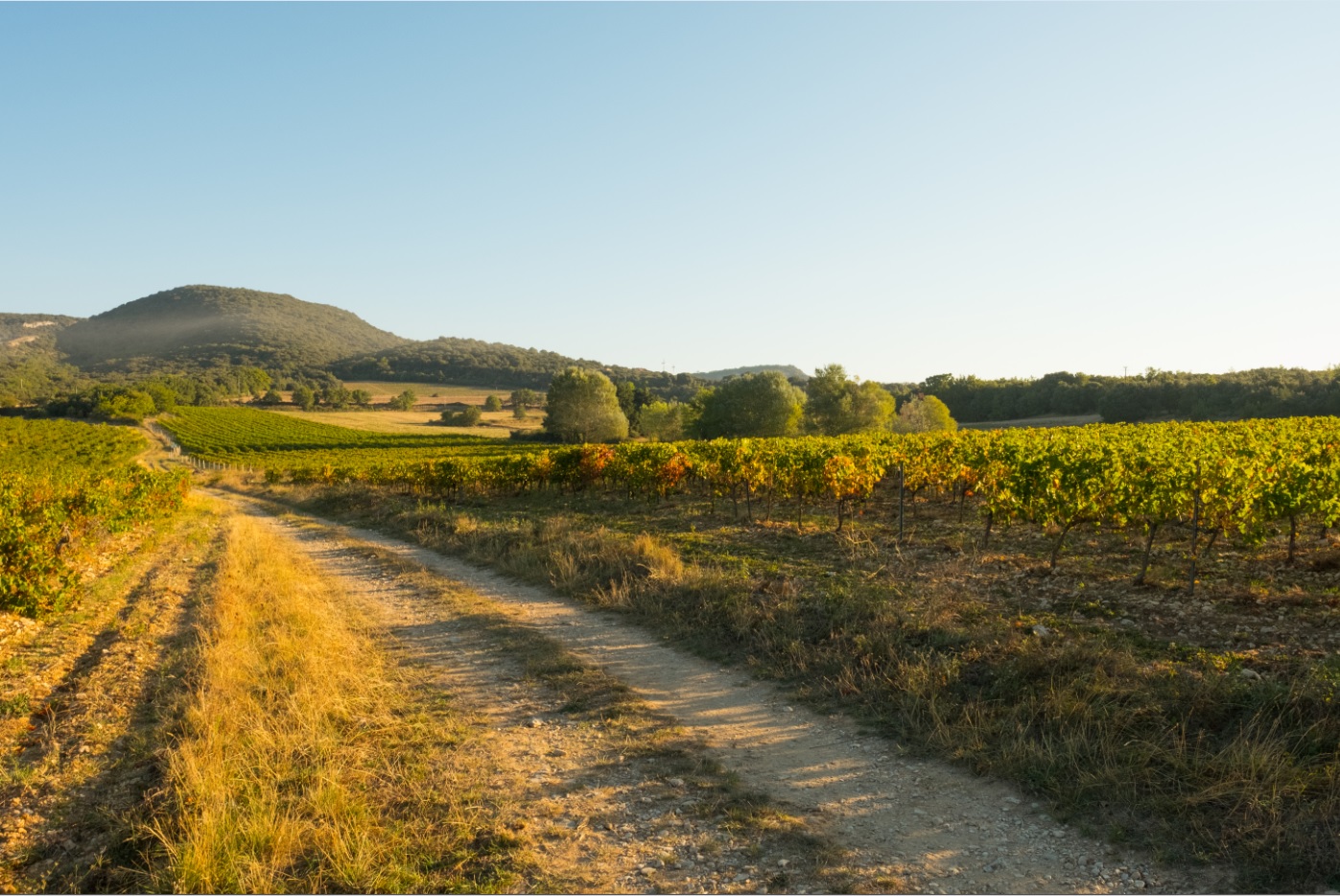 Domaine de Grangeneuve