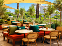Olea_Villeneuve-Loubet
