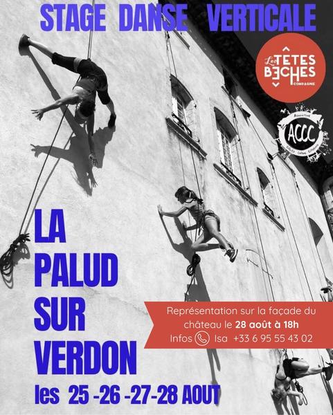 Stage danse verticale