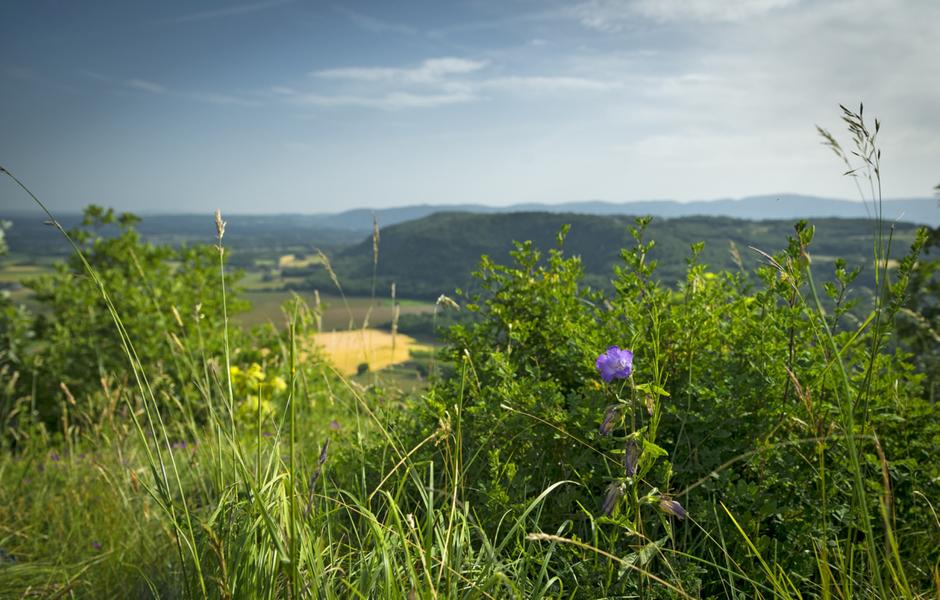 Hières-sur-Amby - Balcons du Dauphiné - Nord-Isère - à moins d'une heure de Lyon