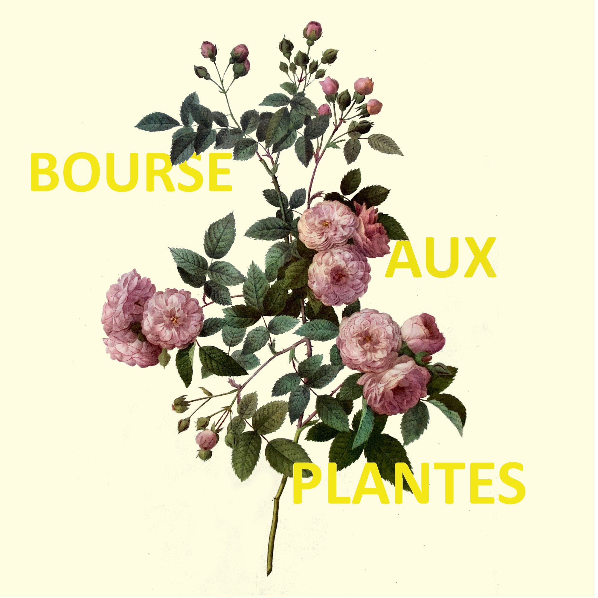 Bourse aux plantes de printemps