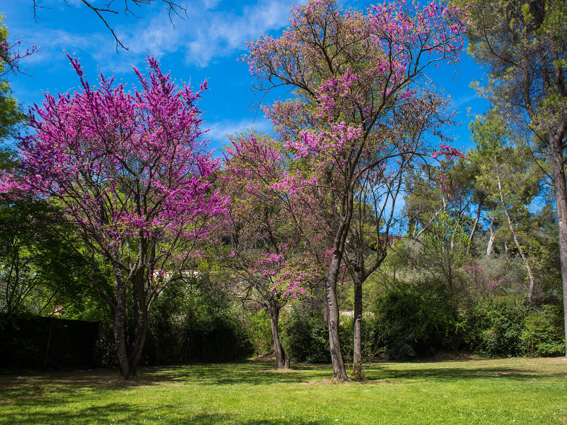 Parc des Collines de Cuques — photo 2