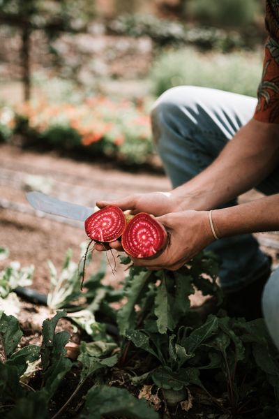 5èmes rencontres de l Alimentation durable dans le Chablais