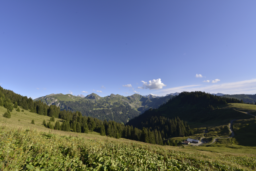 Tour du Mont de Grange - Abondance