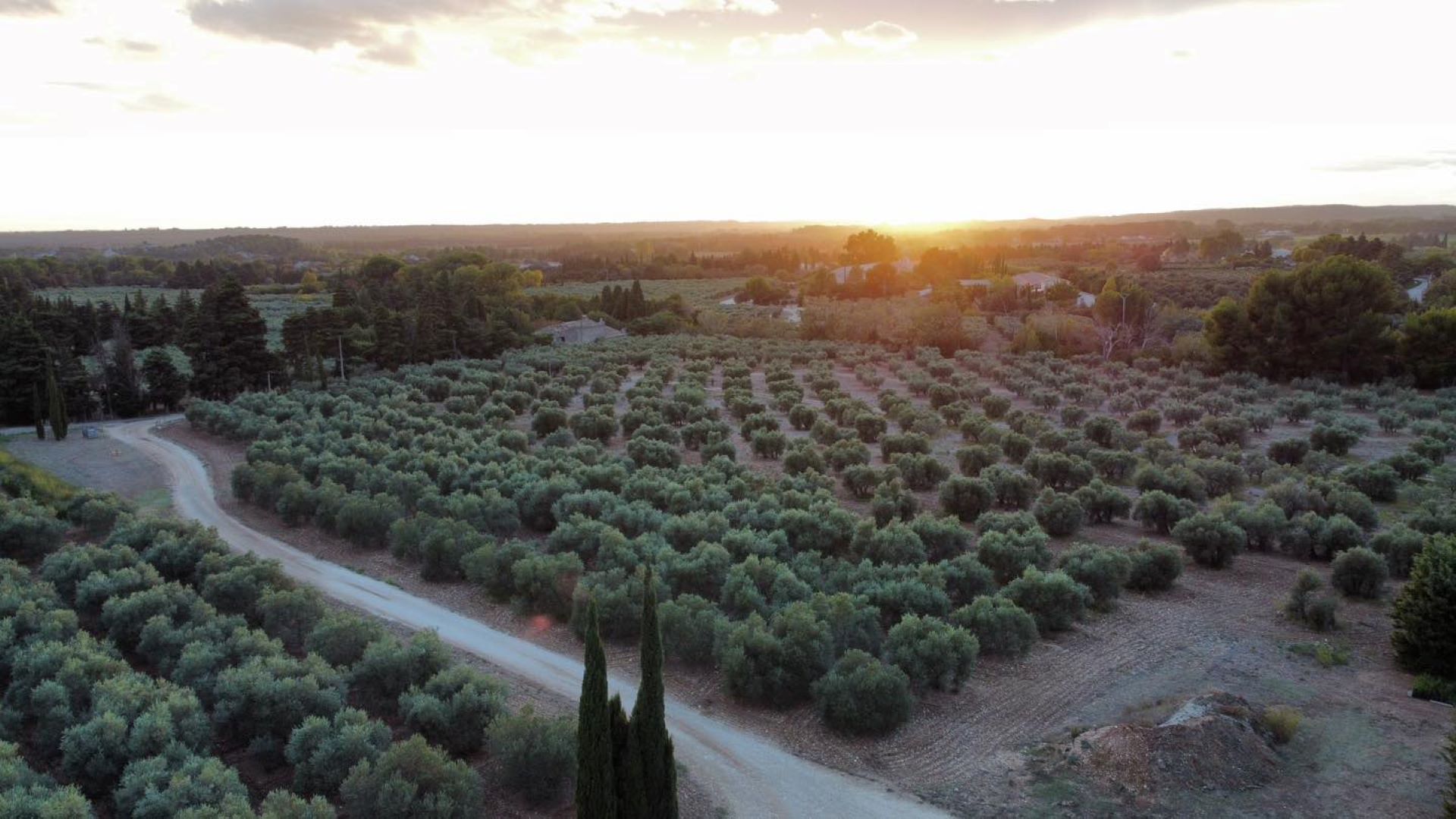 Domaine Plaines Marguerite