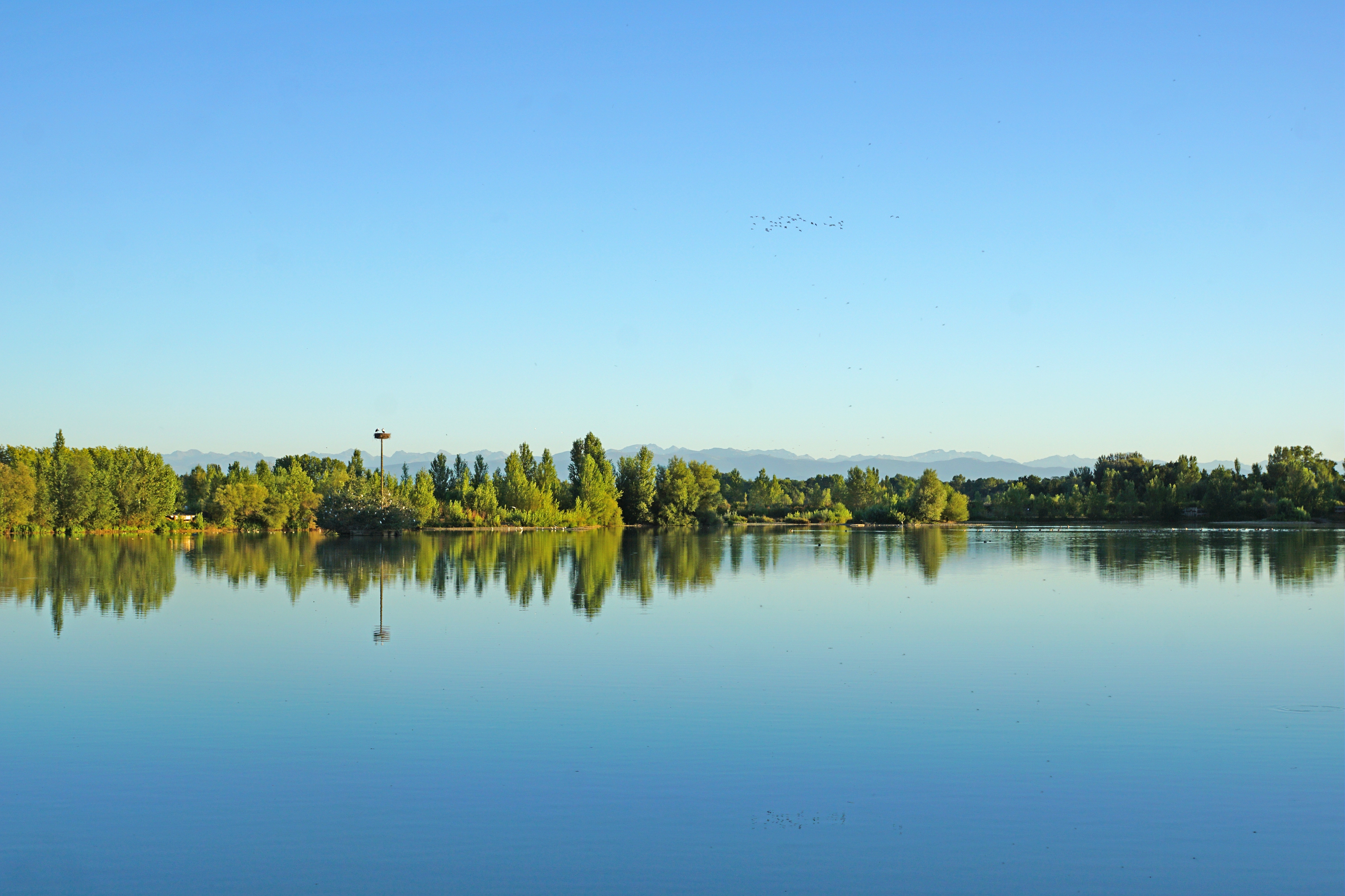 Domaine des oiseaux