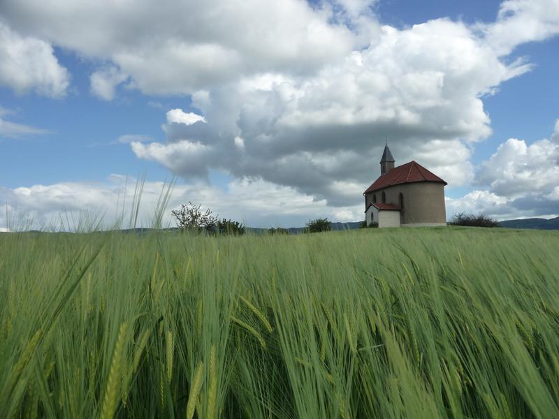 les champs entourant la chapelle
