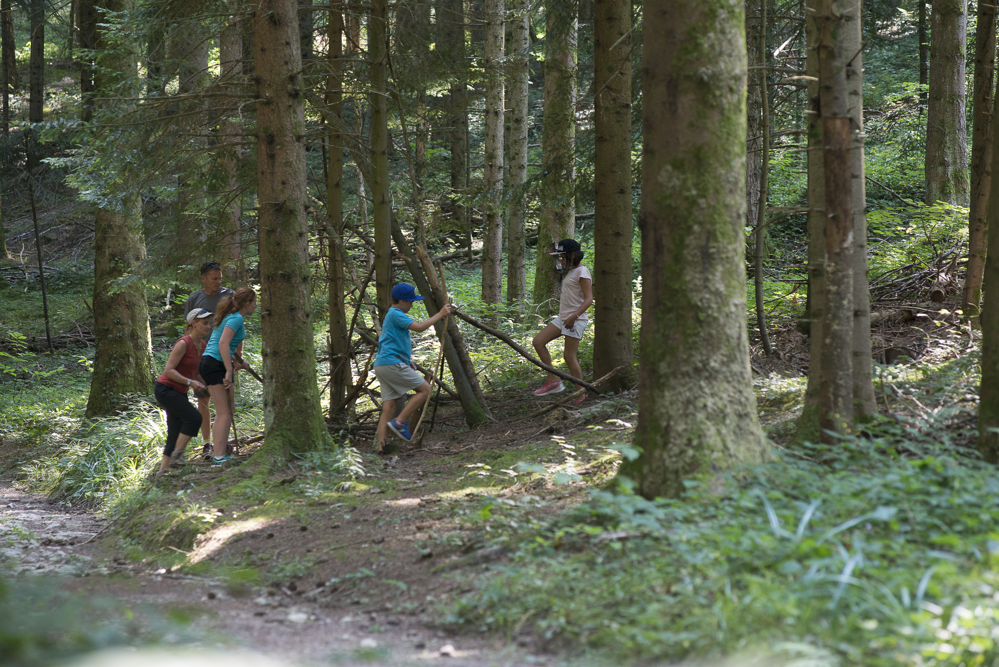 Forêt de St-Maurice-de-Rotherens St-Genix-les-Villages