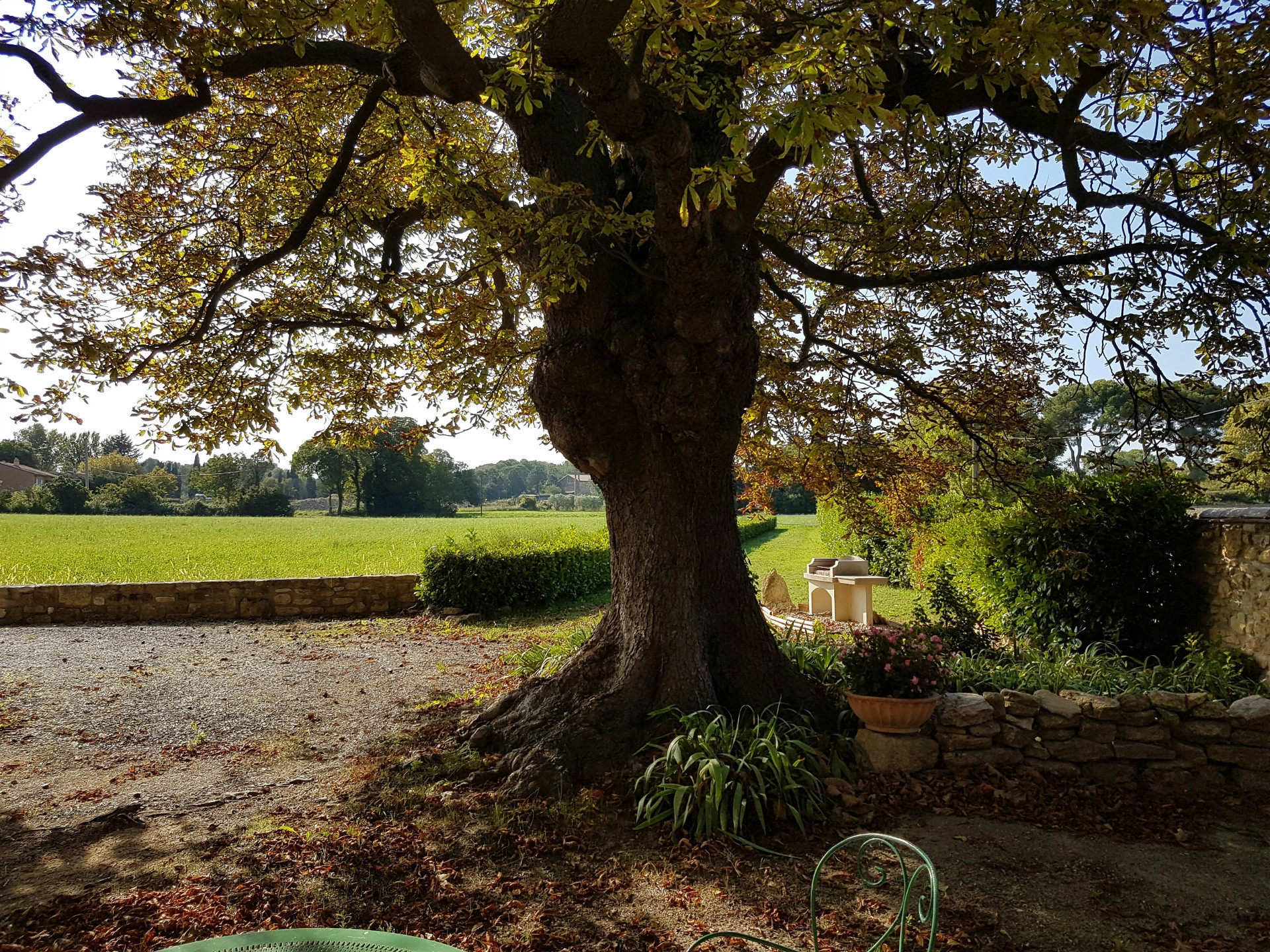 Le Petit Lys, Cornillon-Confoux - photo 6