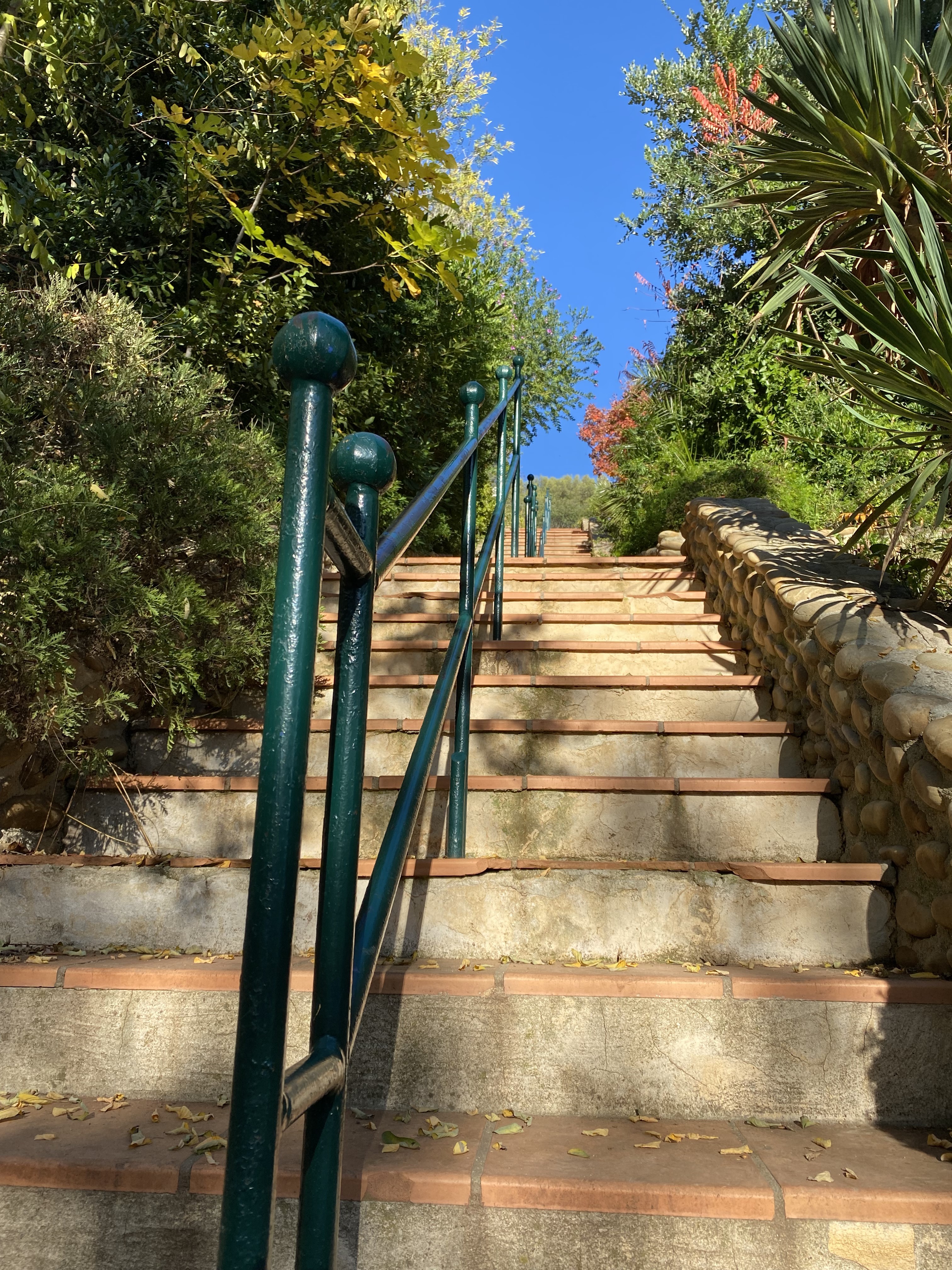 Découverte des Calanques, La Ciotat - photo 10