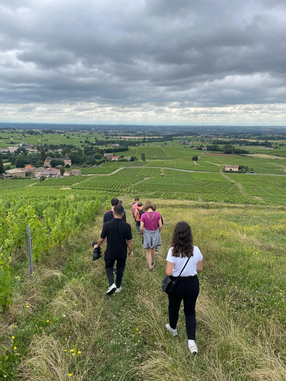 Balade Bucolique à Brouilly_Saint-Lager