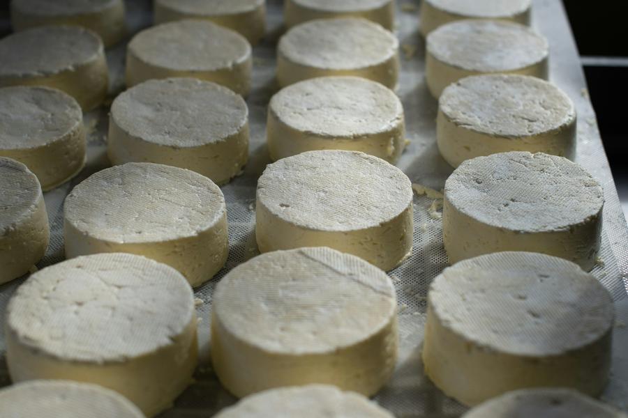 Atelier du lait au fromage_Bellevaux