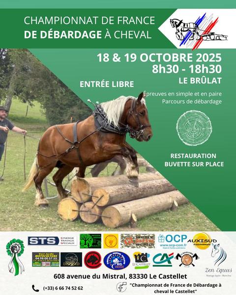 Championnat de France de débardage à cheval_Le Castellet