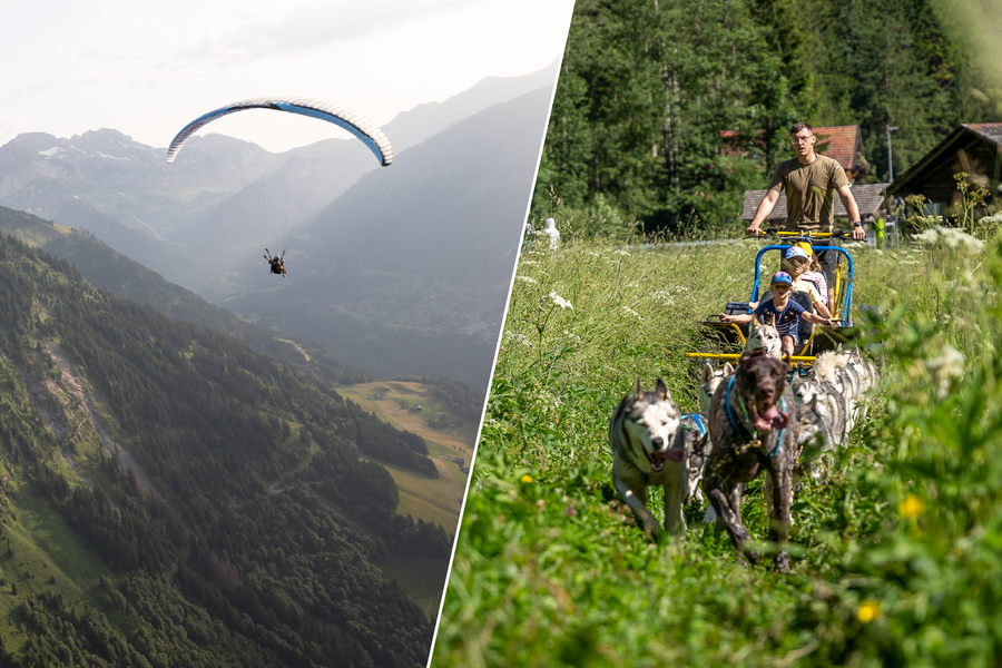 Parapente & Chiens de traîneau/Cani-Kart_Champéry