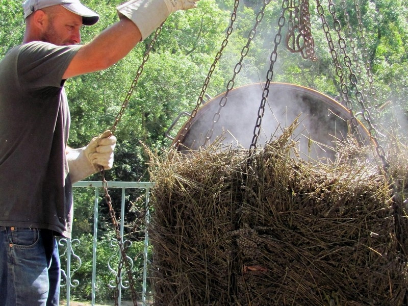 Distillerie Sainte-Victoire - photo 3