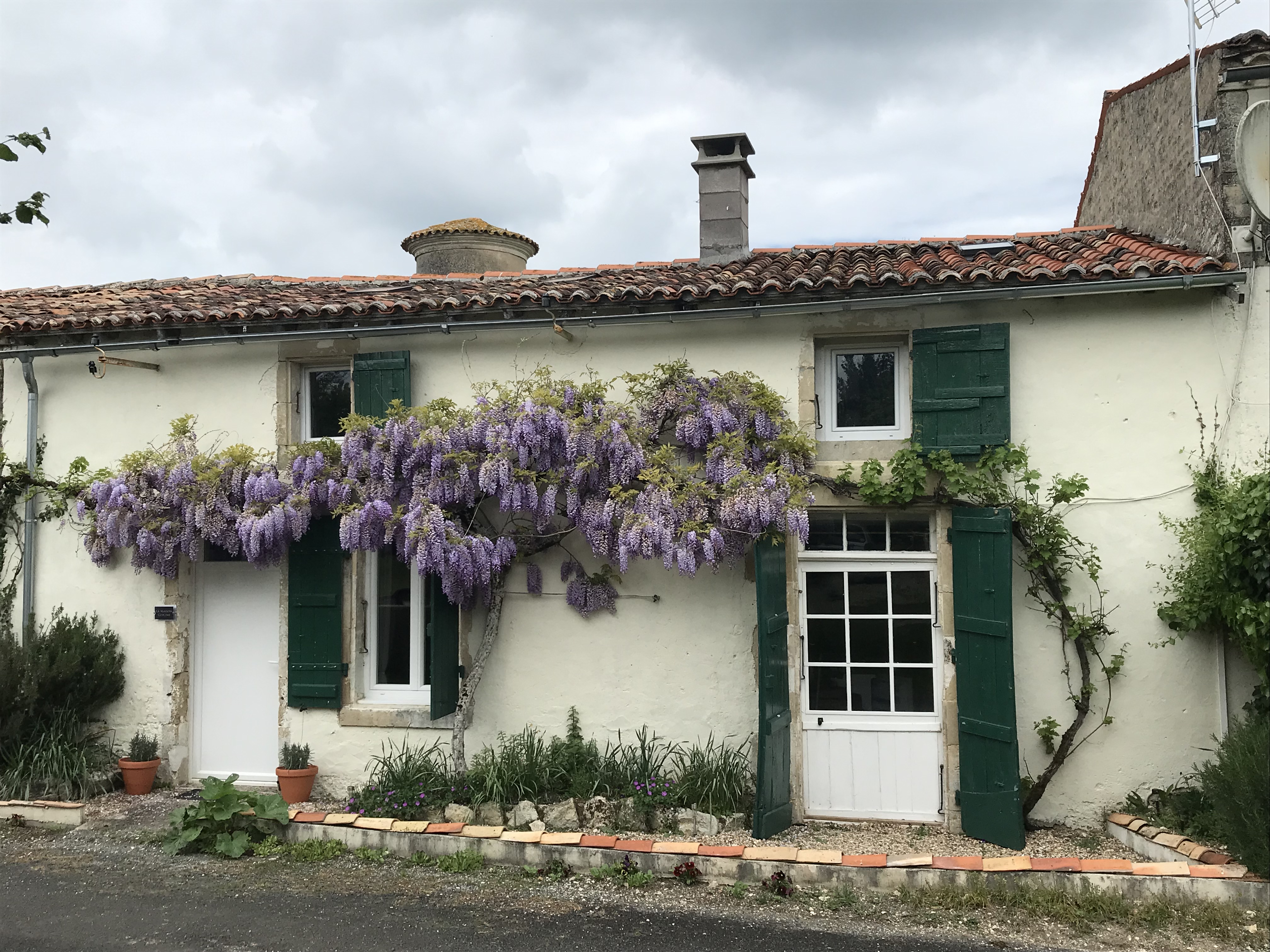 La Maison Glycine