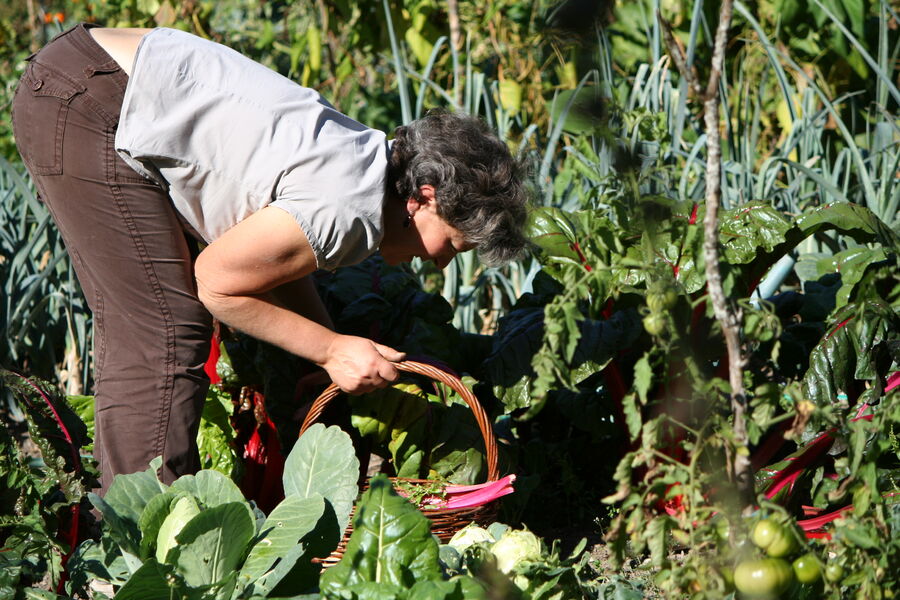 Le Cris-Cath - Tréminis