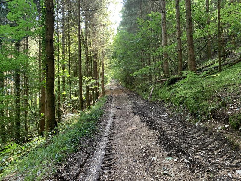 Randonnée - Sur les pentes de l'avocat