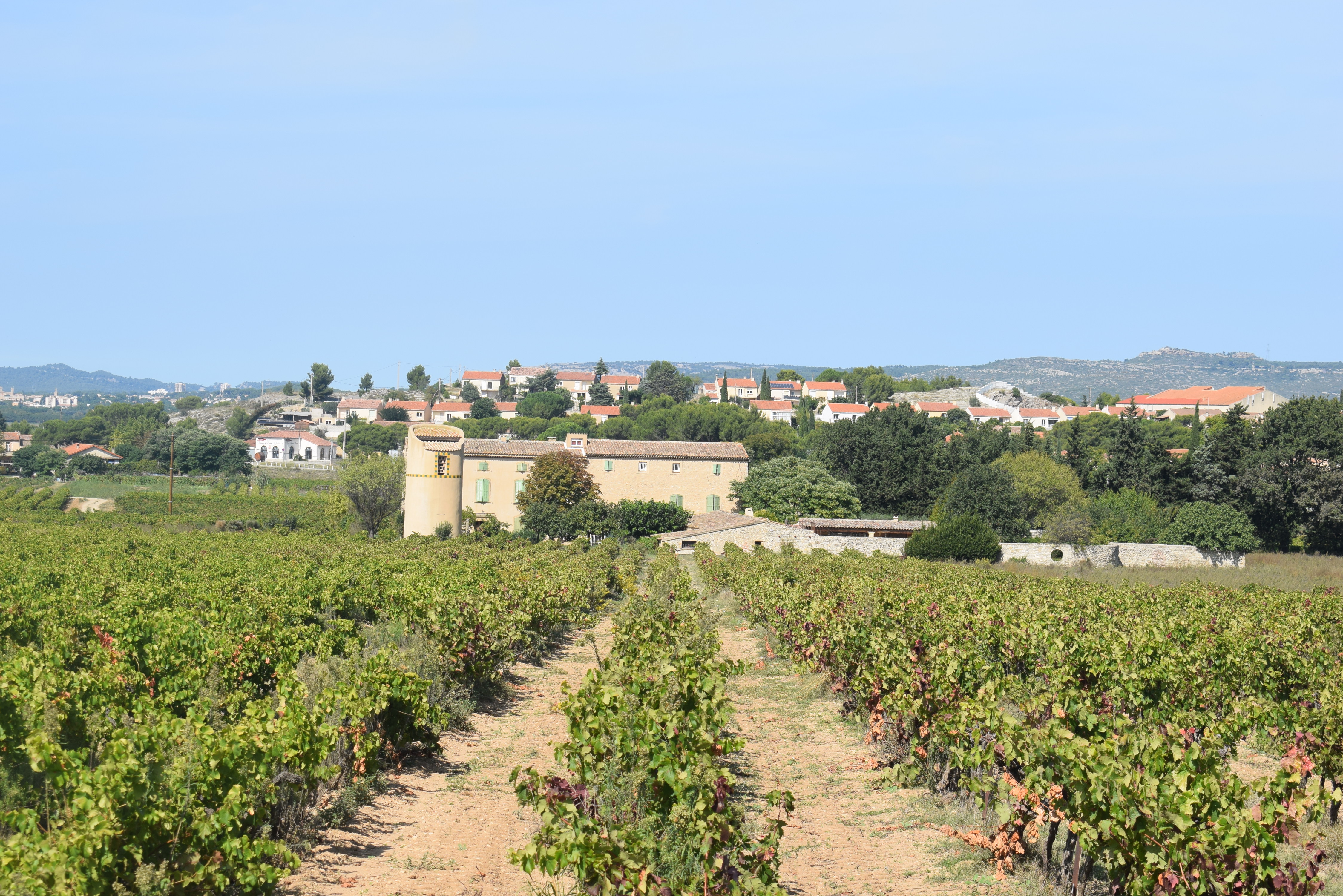 Cave des Coteaux de Lançon