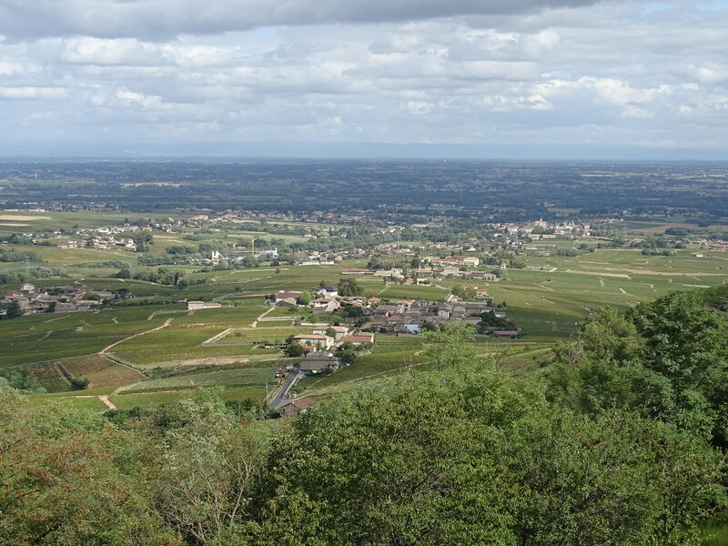 Vue panoramique