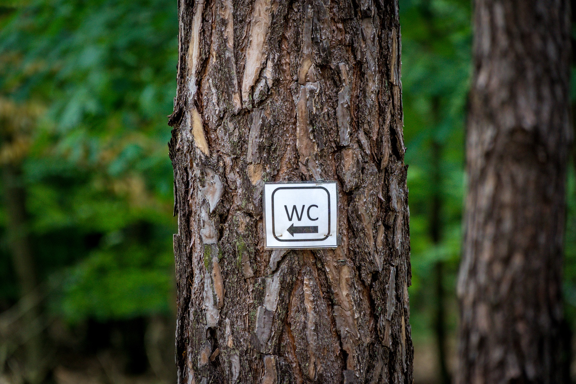 Toilettes publiques de Fouquebrune
