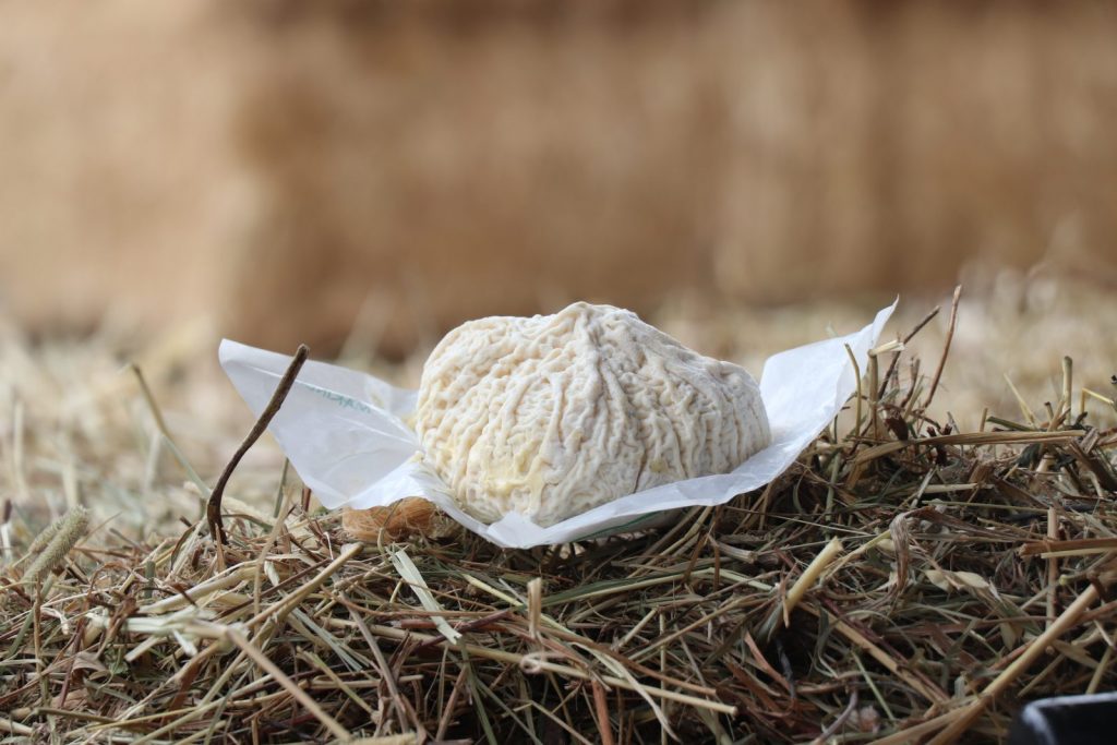 Balade à la ferme : Le champ de Rome
