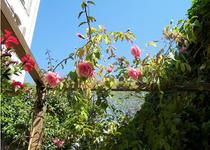Photo of hotel Nice Garden Hotel in Nice