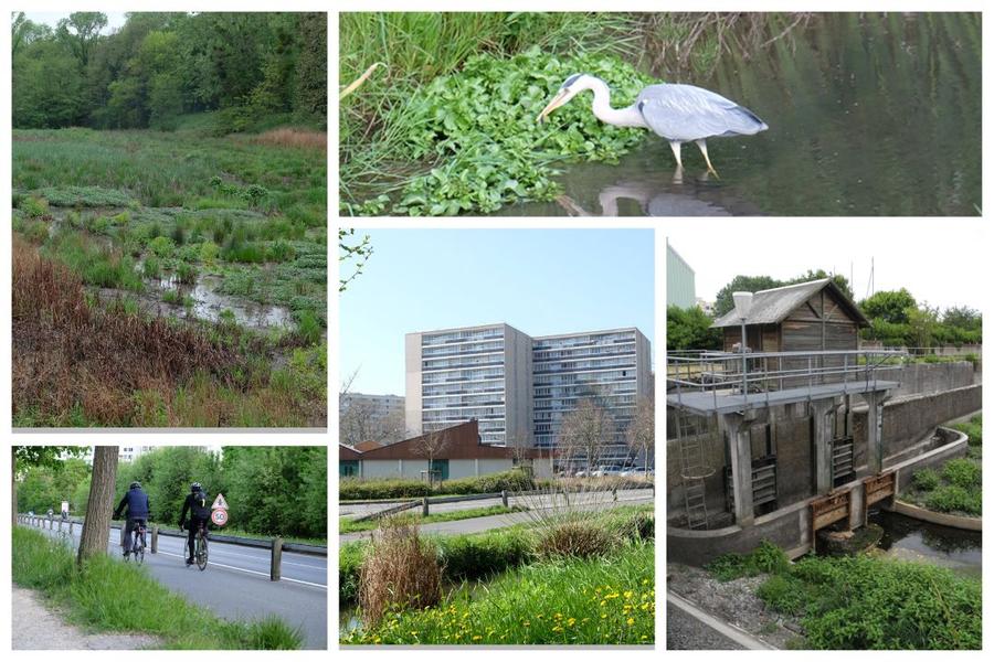 Balade à la découverte de la Bièvre à Massy 