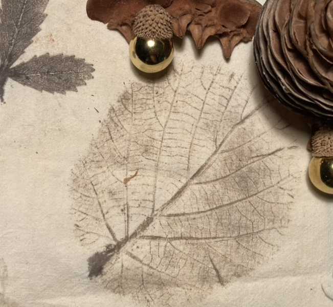 Atelier Tataki Zomé · Impressions végétales japonaises_Avignon