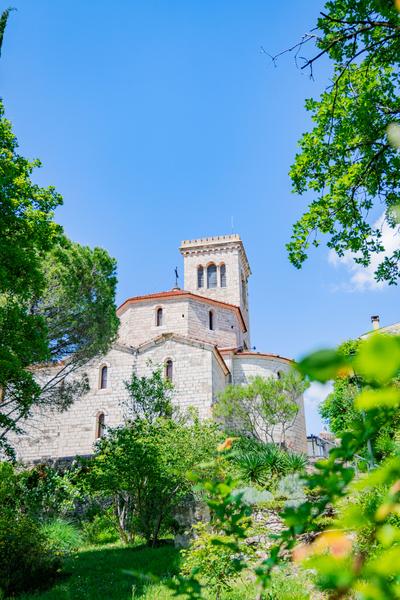 Balade découverte des plantes sauvages, arbres et arbustes du village de Puygiron_Puygiron