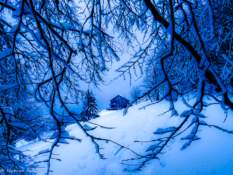 Nature Xplore CHÂTEAUROUX-LES-ALPES