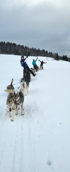 Chalet des Sibériens - Initiation à la conduite de traineaux 1/2 journée (hiver)