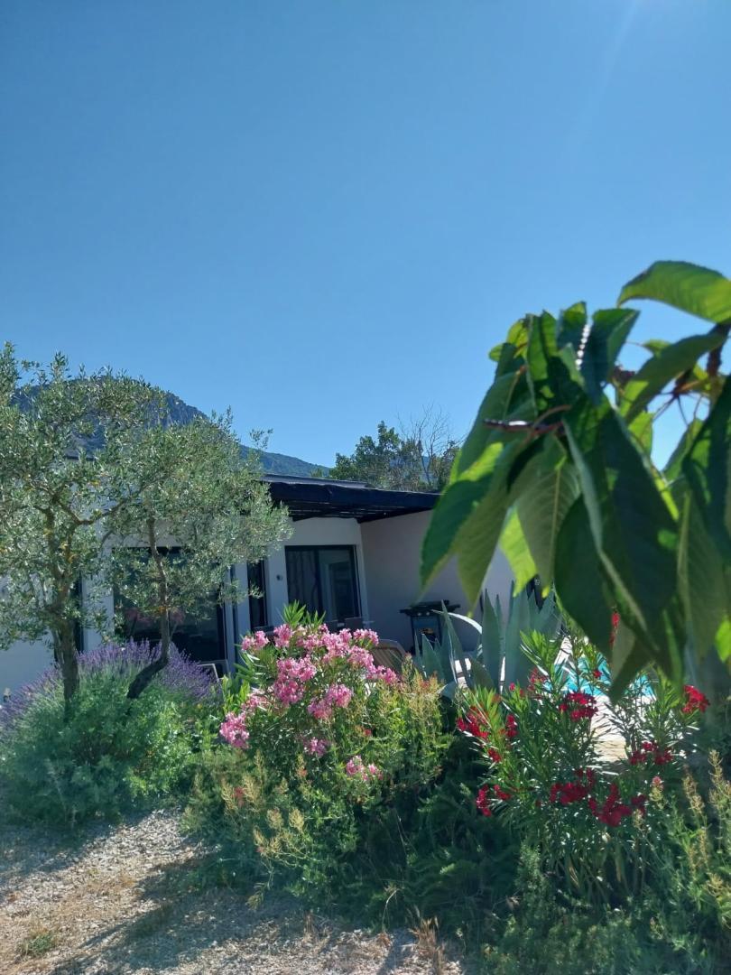Le gîte fleuri et arboré