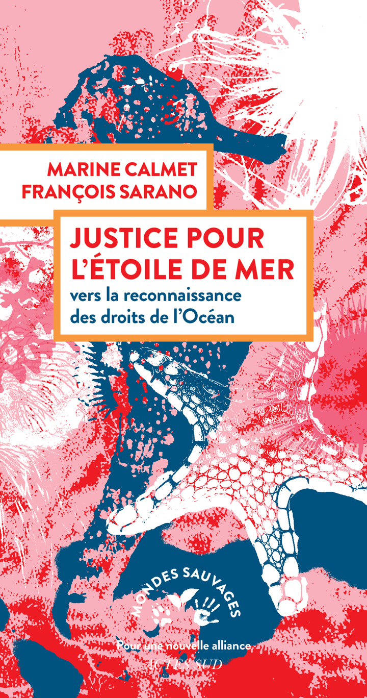 Justice pour étoile de mer