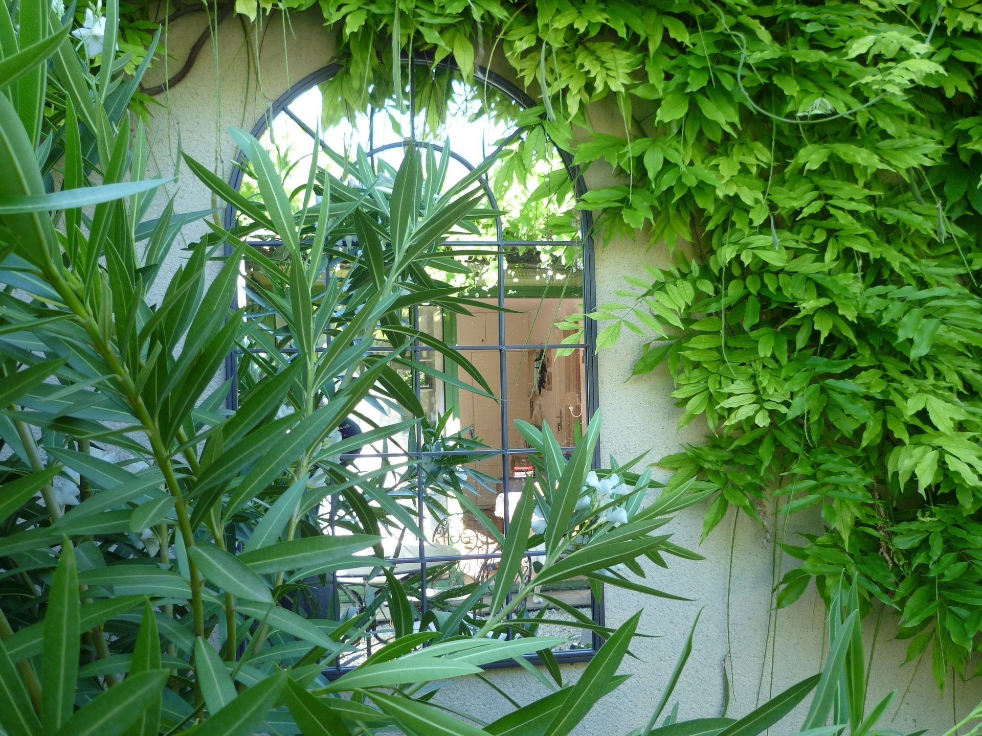 Mazet Jasmin - photo 2