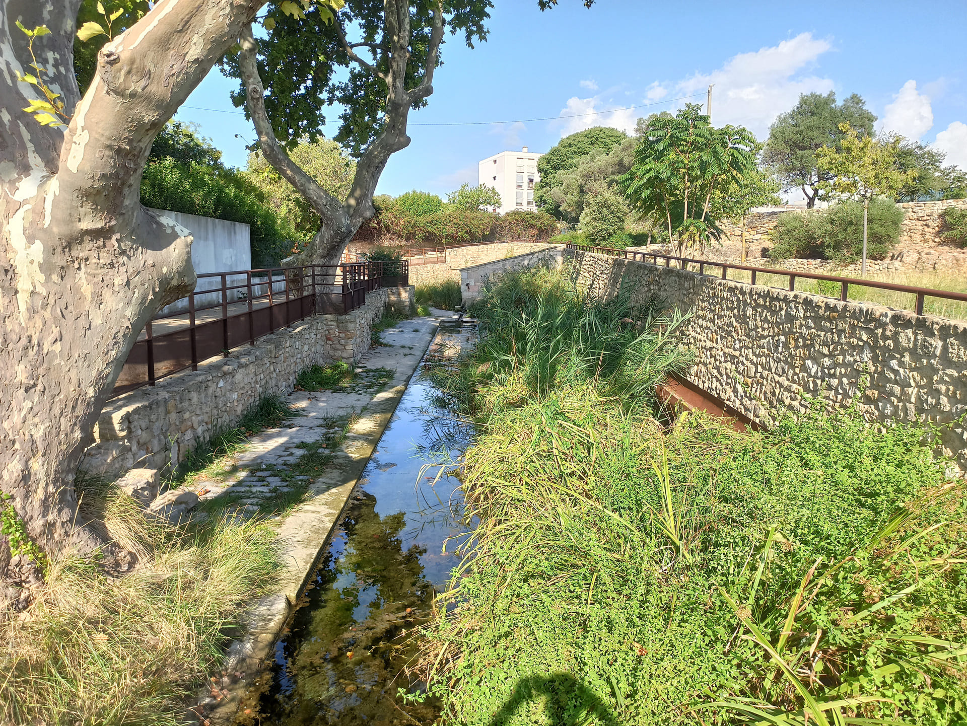 Site archéologique de Tholon, Martigues - photo 3