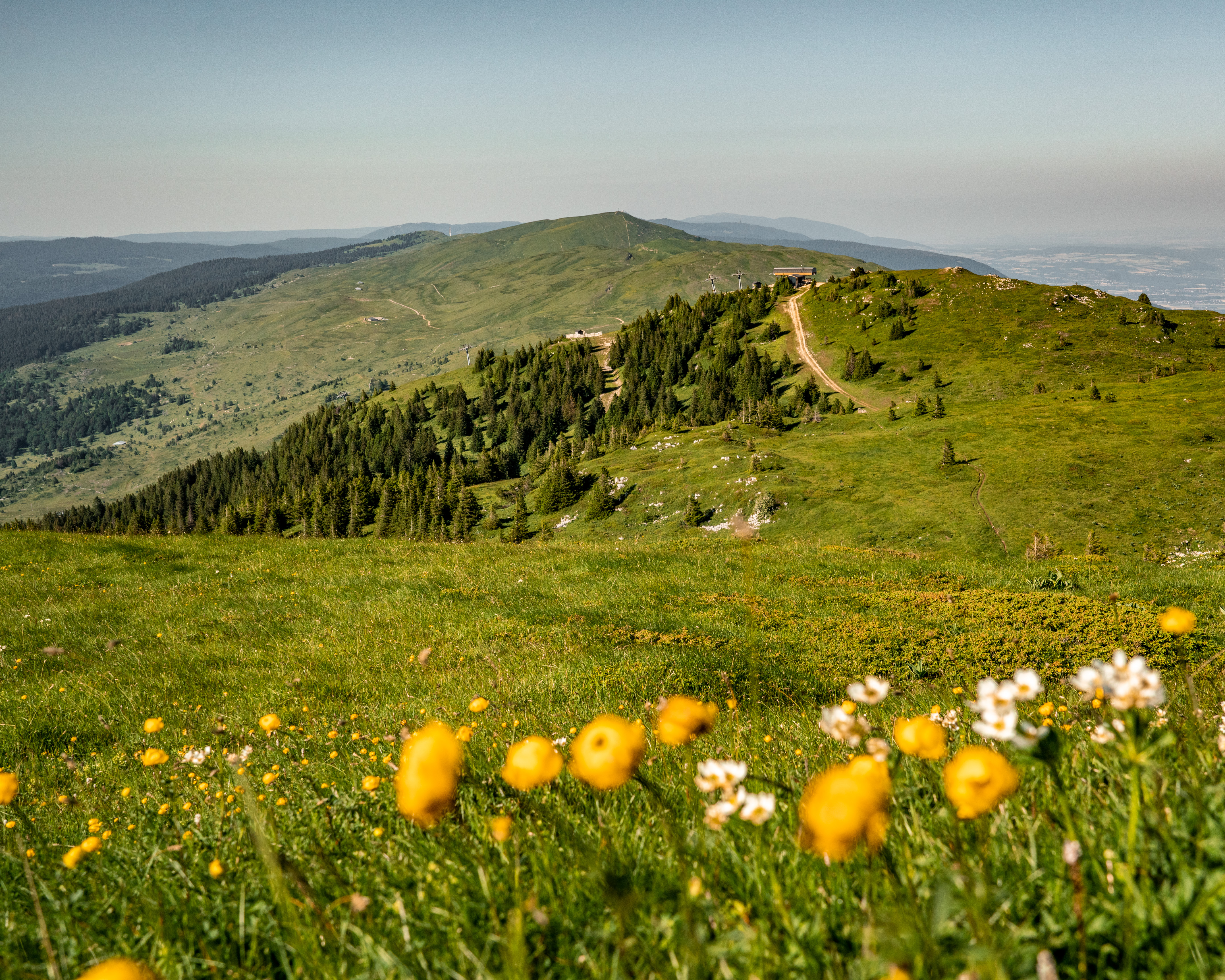 Grande Traverse du Jura  pied  : De Culoz  la Borne au Lion