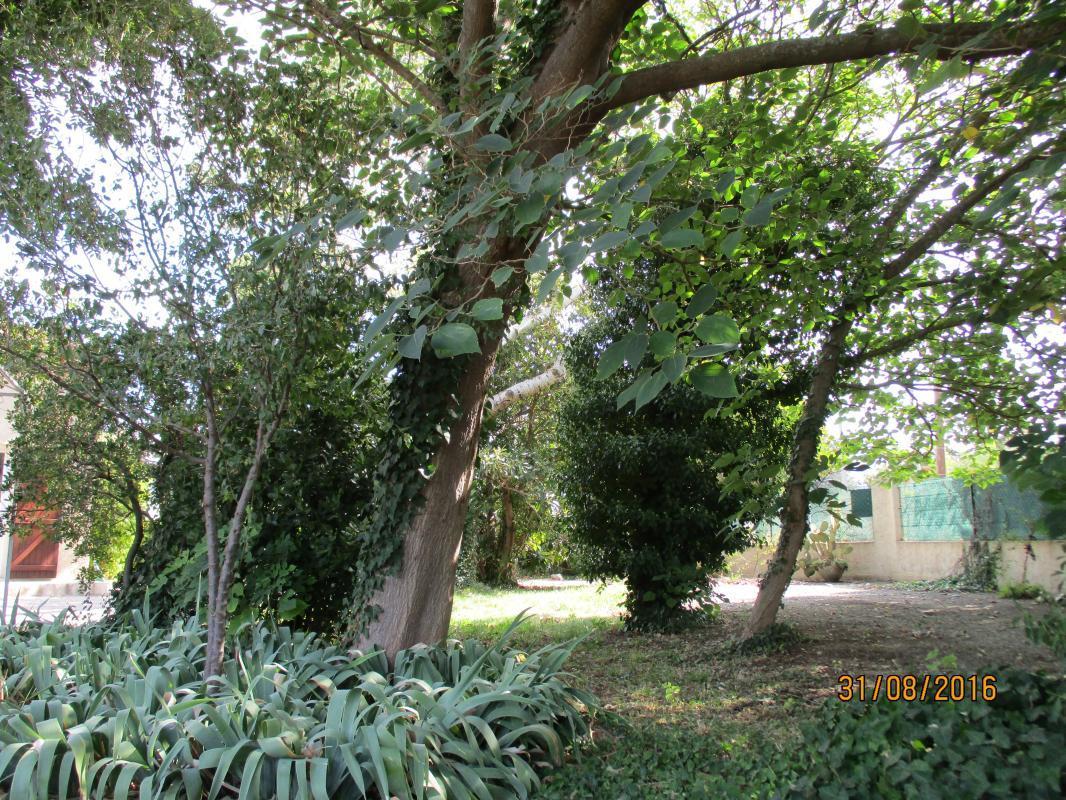 Sophora, Gémenos - photo 17