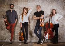 Une journée au musée -Hommage à Satie  - #4 concert coup de cœur_Grenoble