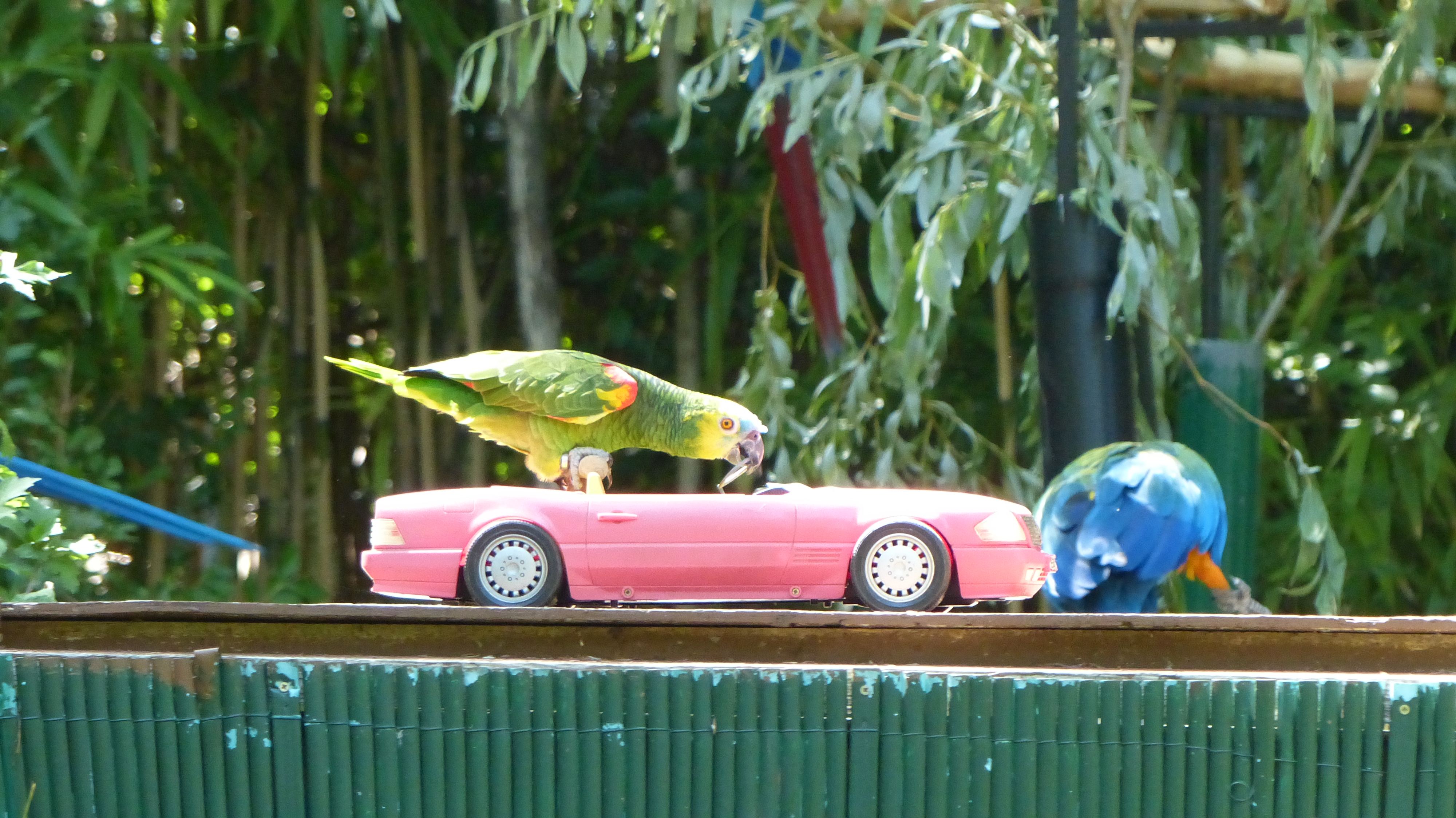 Spectacle en plein air