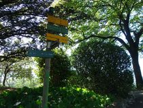 Jardin des Dauphins