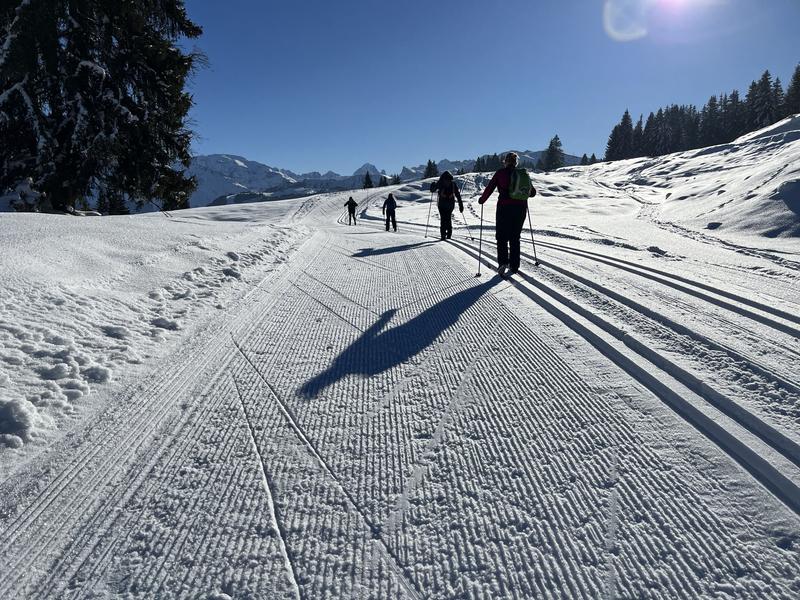 Joux Plane