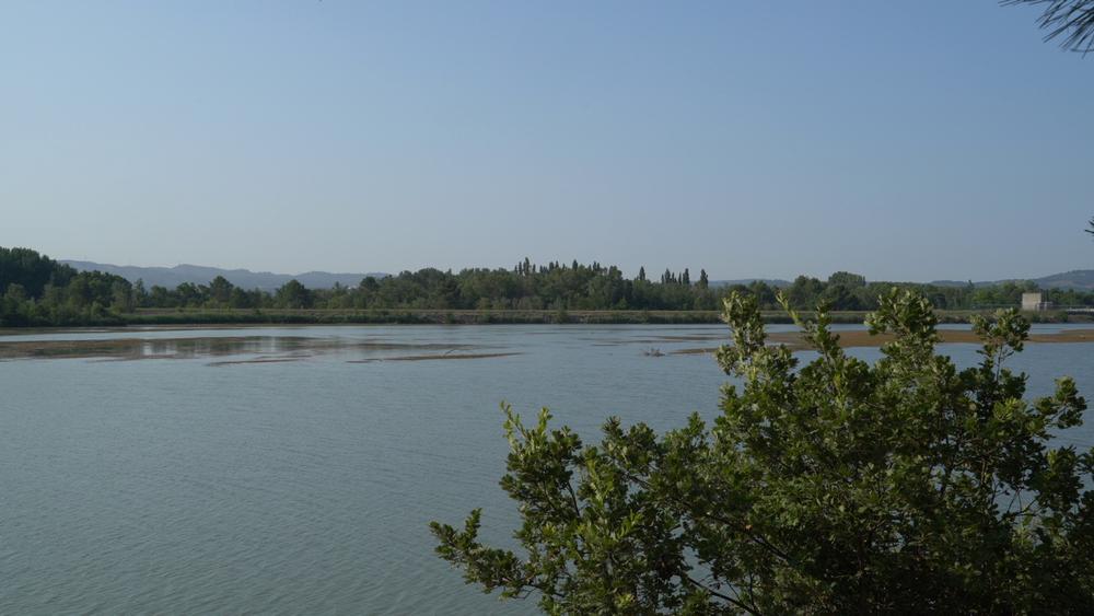 Nature en famille : de la Garrigue à l'observation des oiseaux_Mérindol