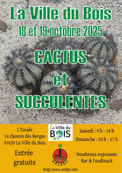 Cactus et succulentes 