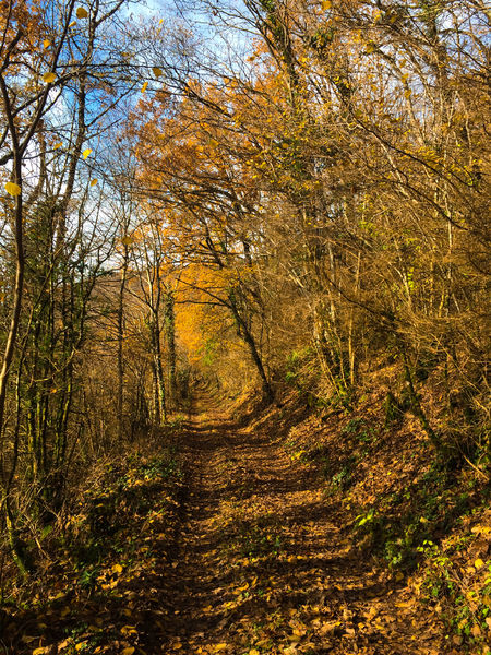Randonnée du Grand Colombier depuis Munet
