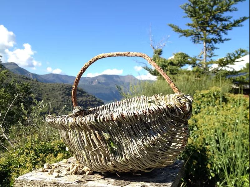 photo création de panier